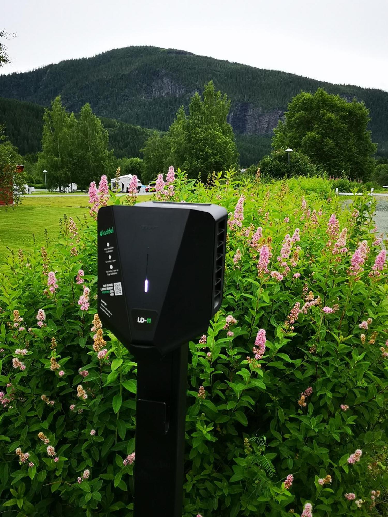 Langnes Camping, Grong Kültér fotó